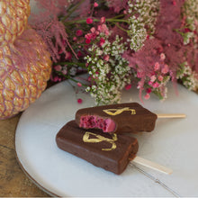 Laden Sie das Bild in den Galerie-Viewer, Eis am Stiel ebook ohne gluten- & zucker, vegan